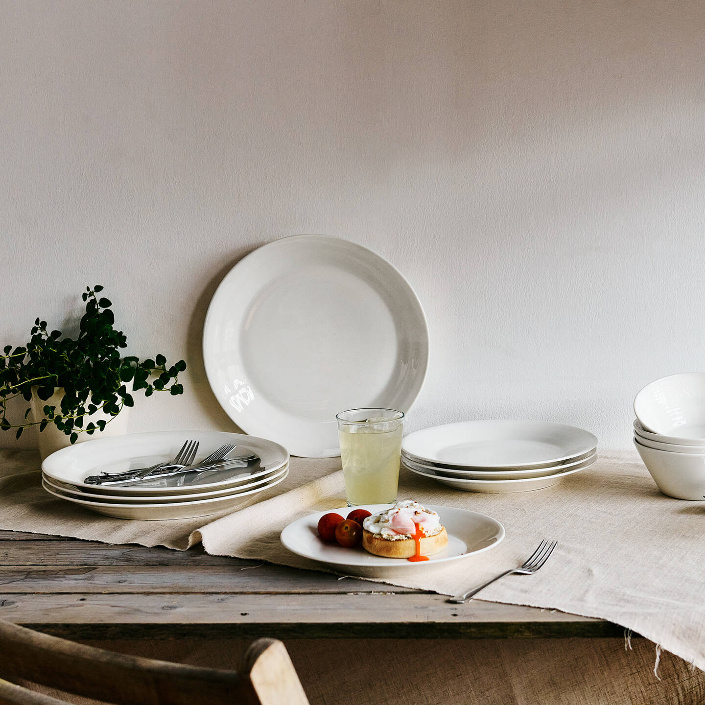 1815 Pure Dinner Plate, Set of 4 | Royal Doulton Webstore
