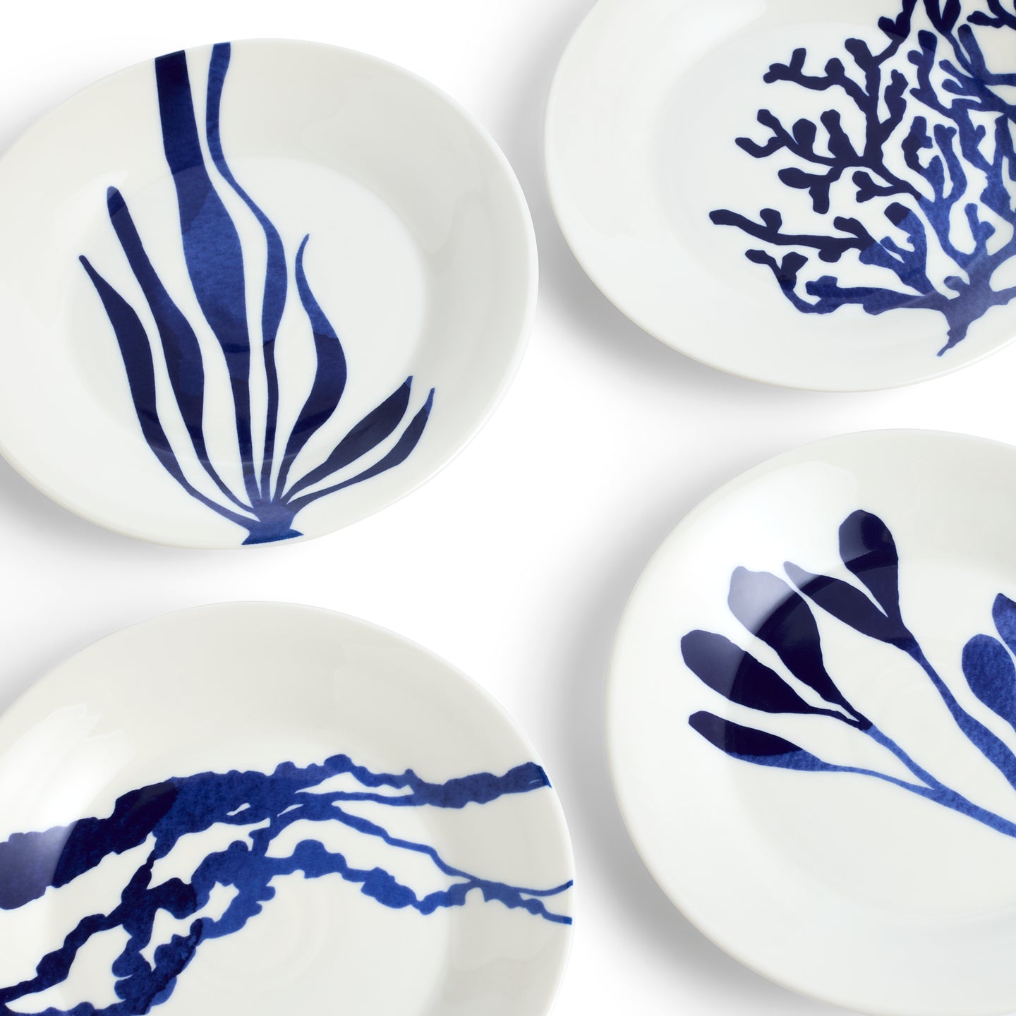Royal Doulton Webstore